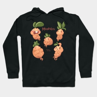 Mandrakes Hoodie